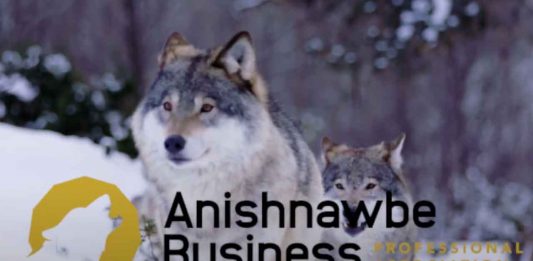 ABPA launches Indigenous relations reporting and natural asset valuation initiative APBA Business