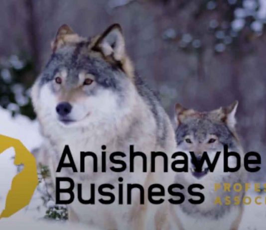 ABPA launches Indigenous relations reporting and natural asset valuation initiative APBA Business