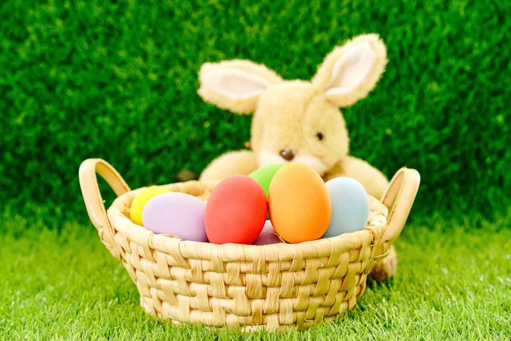 NetNewsLedger From Pagan Roots To Christian Celebration The 