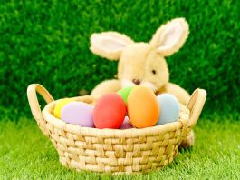 April 5, 2026: Thunder Bay’s Easter Sunday Brings Brighter Skies, a Few Flurries, and a Cooler Start to the Week Easter Bunny