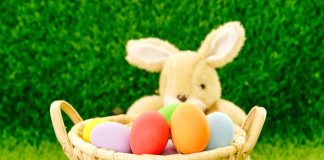 April 5, 2026: Thunder Bay’s Easter Sunday Brings Brighter Skies, a Few Flurries, and a Cooler Start to the Week Easter Bunny