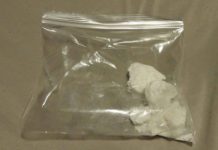 Amanda Dawn MARTIN and John Martin RECOLLET Face Drug Trafficking Charges Sugarshan CHANDRAMOHAN Faces Drug Trafficking Charges