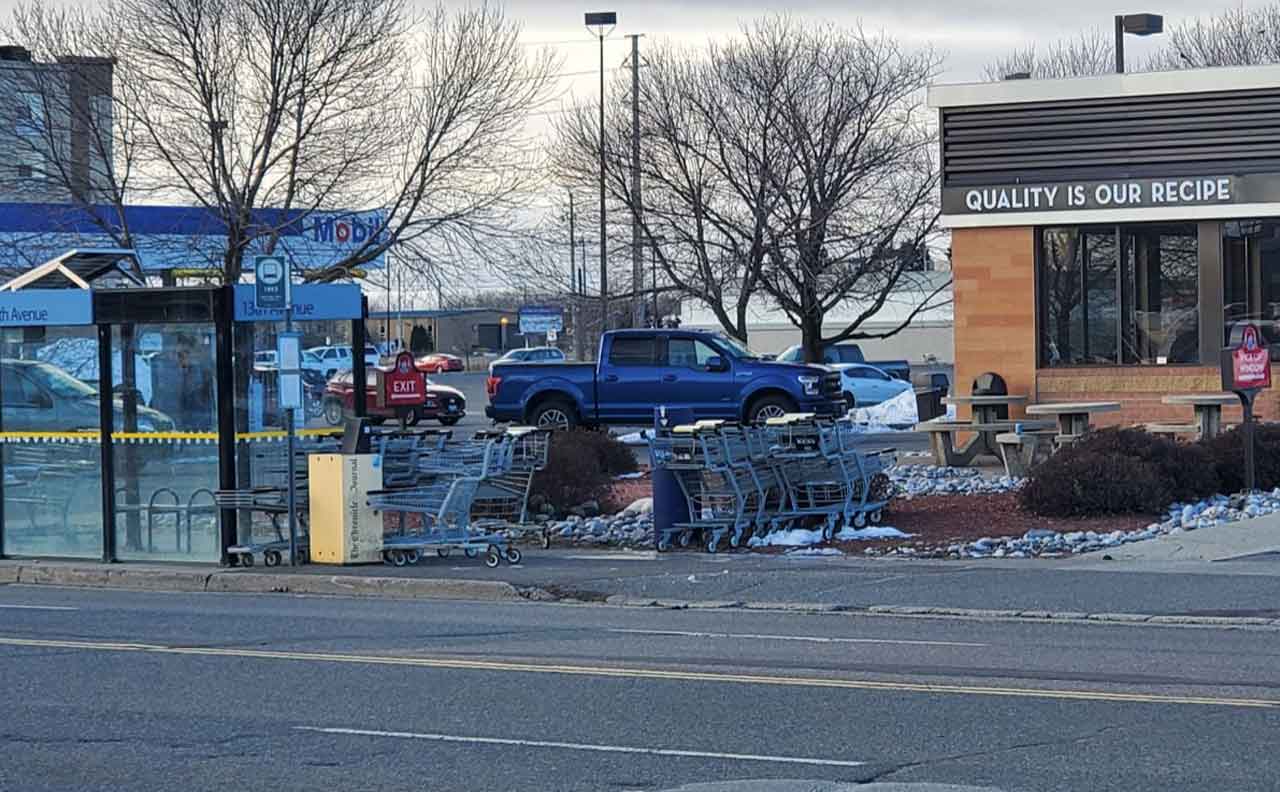 Shopping carts