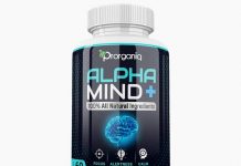Benefits of Using Prorganiq’s Alpha Mind+ Alpha Mind