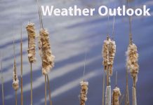Far North Ontario Weather Outlook from October 30 to November 2nd 2025 Weather Outlook Bullrushes