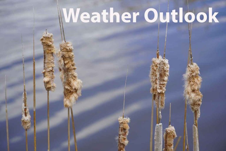 Vermilion Bay and Dryden Weather Forecast NetNewsLedger