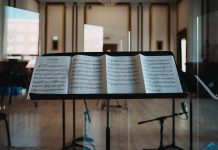 Thunder Bay Symphony Orchestra to Play Virtual Concert Thunder Bay Symphony Orchestra