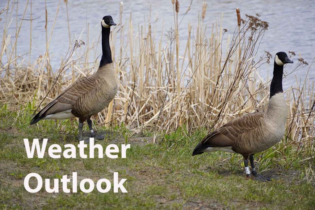 October 16, 2024 Red Lake and Ear Falls Weather Forecast NetNewsLedger
