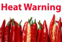 July 4, 2025: Winnipeg’s Detailed Weather Forecast Heat Warning