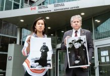 NDP MPs call for Justice and Accountability Via Special Prosecutor Calls for Justice by NDP MPs