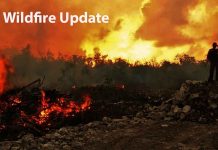 NetNewsLedger Wildfire Update – Northwest Fire Region June 29, 2025 • Report Time: 8:27 p.m. CDT Wildfire Update