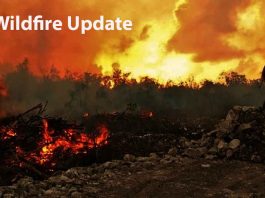 Northwest Ontario Wildfire Report: 114 Active Fires, Three New Starts Confirmed Wildfire Update