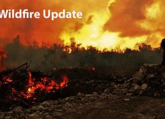 Northwest Ontario Wildfire Report: 114 Active Fires, Three New Starts Confirmed Wildfire Update