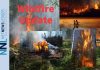 Northwest Wildfire Update: No new fires June 18 as crews continue work on Dryden 13 in Wabakimi park Wildfire Update