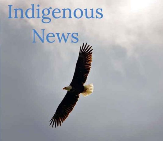 Anishinabek Nation statement on the Canada Investment Summit 2026 Eagle Flying Indigenous News