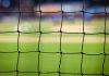 Building Your Professional Circle Through Sport: A Guide for Young Immigrants in Ontario A More Modest Proposal for the Turf Centre