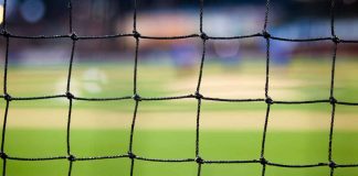 Building Your Professional Circle Through Sport: A Guide for Young Immigrants in Ontario A More Modest Proposal for the Turf Centre