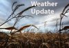 Slick Start, Then Milder: Kenora & Lake of the Woods Weather Outlook Weather Update Fall