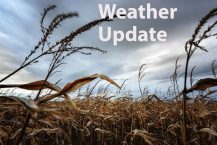 Weather-Update-clouds-fall-field