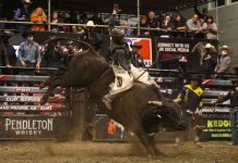 PBR Canada No. 1 Jake Gardner Wins Sold-Out Cup Series Event in Brandon, Manitoba to Remain No. 1 in the Race for the 2025 Championship and $100,000 Bonus PBR image by Covy Moore