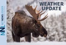 Dryden & Vermilion Bay: Wind-Driven Chill, Spot Flurries, and a Deep Freeze Ahead Weather Update Moose in Snow