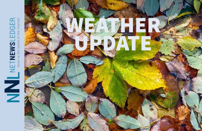 Weather Update - Leaves in Fall
