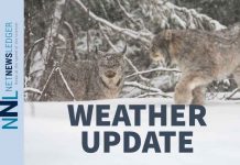 Wind Shift and a Temperature Slide: Geraldton–Greenstone Weekend Weather Weather Update Canadian Lynx in Snow