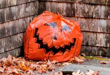 City to offer Two Opportunities for Leaf and Yard Waste Collection Fall Yard Waste Collection Days