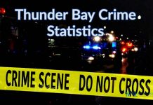 Thunder Bay Police Log 1,187 Calls for Service in One Week Crime Statistics Report