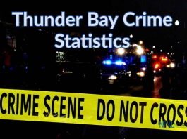 Thunder Bay police responded to 939 calls for service this week, with 63 crashes reported Crime Statistics Report