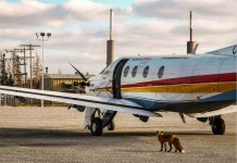 Far-North Shuffle: Clouds, Gusts, and Bright Breaks from Sunday to Wednesday Image: North Star Air - photo by Devon Creyf, Captain PC12 Pilatus