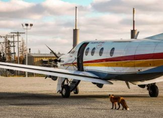 Northern Ontario Fly-In Communities Weather Forecast covering Sioux Lookout, Pickle Lake, Marten Falls, Fort Severn, Attawapiskat, KI Big Trout Lake, Bearskin Lake and Peawanuck Image: North Star Air - photo by Devon Creyf, Captain PC12 Pilatus