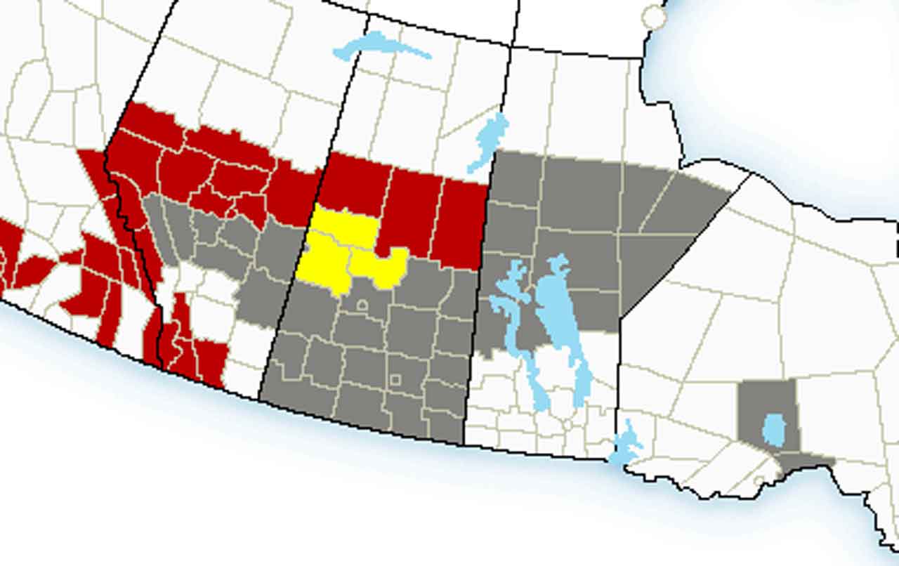 Nov 14 Evening Weather Alerts and Warnings