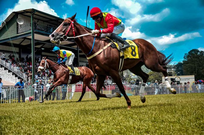 What to Anticipate at the Upcoming 2022 Pegasus Cup