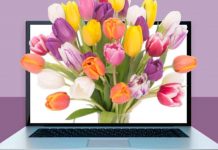 Dating Tips: When Should You Send Flowers?