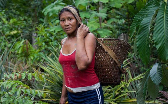 Saving the Amazon - Thompson Reuters