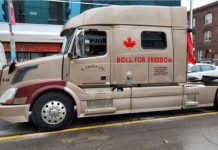 Tamara Lich Bail Hearing – Decision Reserved Until Friday Roll for Freedom - Facebook