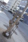 “Tree Hugger” in downtown PA