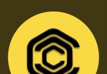 Crypto Coin Coach Draws a Parallel Between NFTs & Crypto in this Exclusive Interview