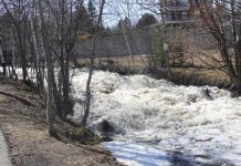 Rainfall in Forecast Results in Flood Warning for Thunder Bay High water flows along McVicar's Creek on May 3, 2022