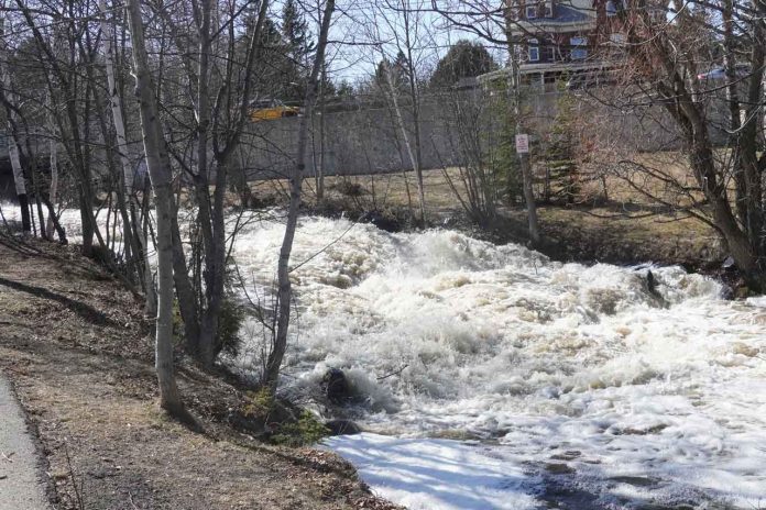 High water flows along McVicar's Creek on May 3, 2022