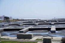 Marina Park – Sleeping Giant out for Spring Cleaning