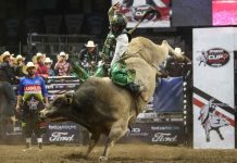 Kieran Gardner to headline PBR Pendleton Whisky Cabaret after Brandon Cup Series opener 2022 PBR World Champion Daylon Swearingen Wins PBR Canada Cup Series Event