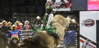 Kieran Gardner to headline PBR Pendleton Whisky Cabaret after Brandon Cup Series opener 2022 PBR World Champion Daylon Swearingen Wins PBR Canada Cup Series Event