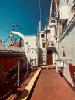 Alexander-Henry-Nation-IMG_2022