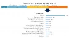 COTB-Online-Citizen-Survey-on-Crime