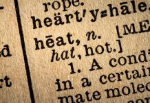 Paws Off the Pavement! Behzhig’s Guide to Keeping Pets Safe During Heat Warnings Heat Warning