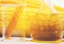 The Price of Liquid Gold Climbing biofuel