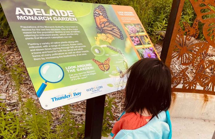 Adelaide Monarch Butterfly Garden