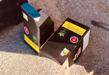 NWHU Reports Concerning Trends in Youth Health Across Northwestern Ontario Schools Cannabis